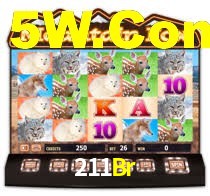 211Br.Com