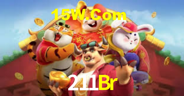 Interface Premium 211Br